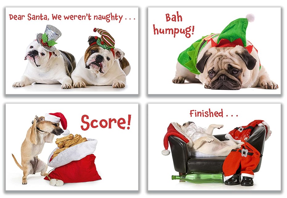 Funny Dog Christmas Cards