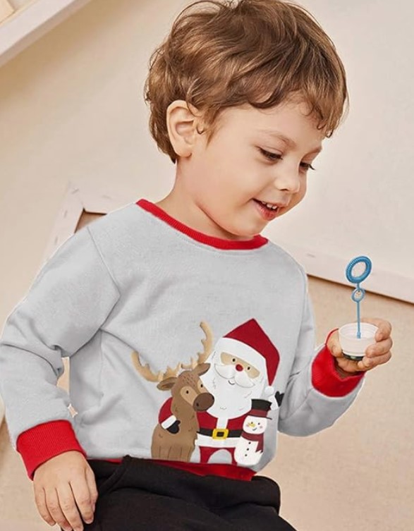 Toddler Boy's Sweatshirt