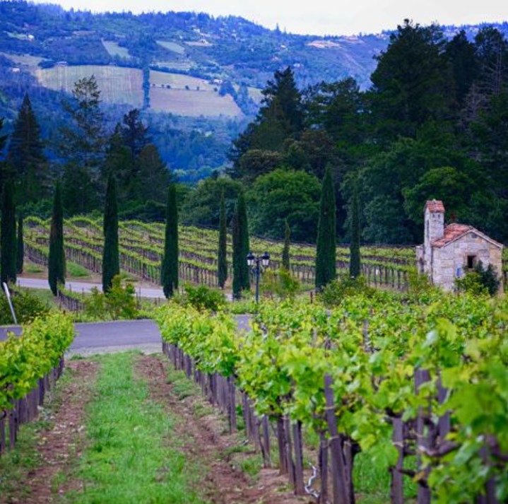 valentines day getaways - napa valley