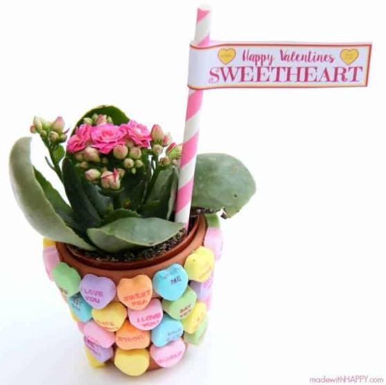 Sweetheart Candy Flower Pot