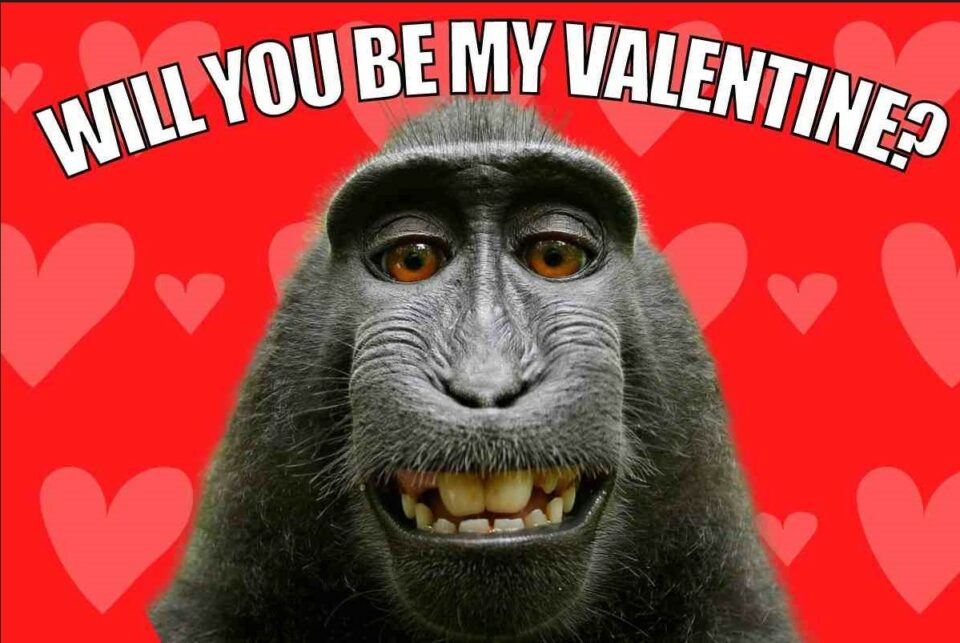Funny Will You be My Valentine Meme