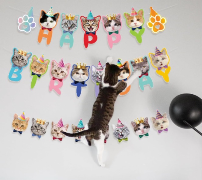 Cat Birthday Party Decorations & Supplies