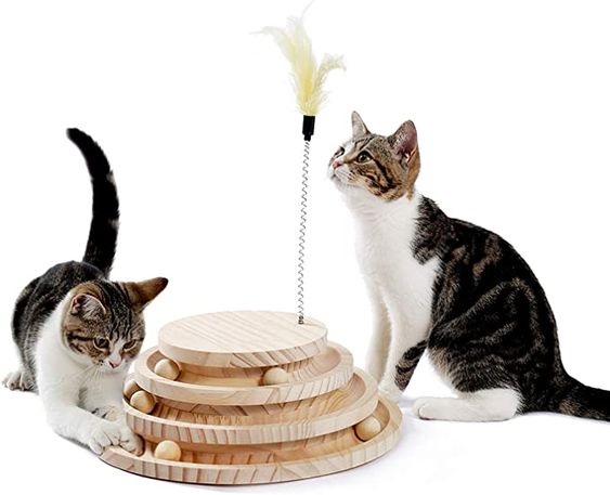 Engaging Cat Birthday Party Games & Activities