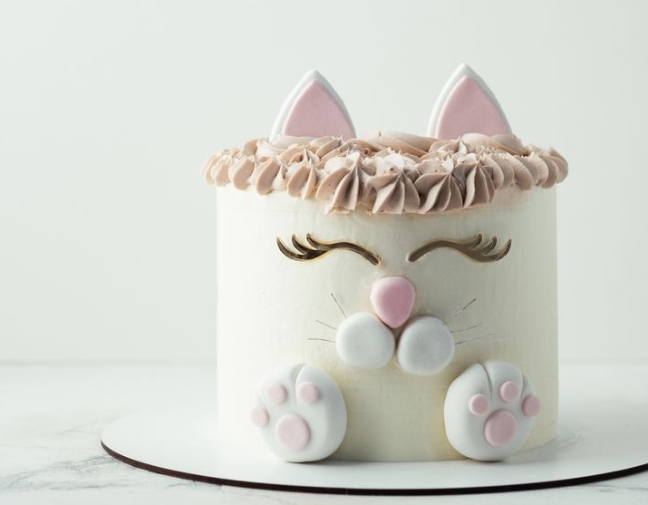 Unique Cat Birthday Party Cakes