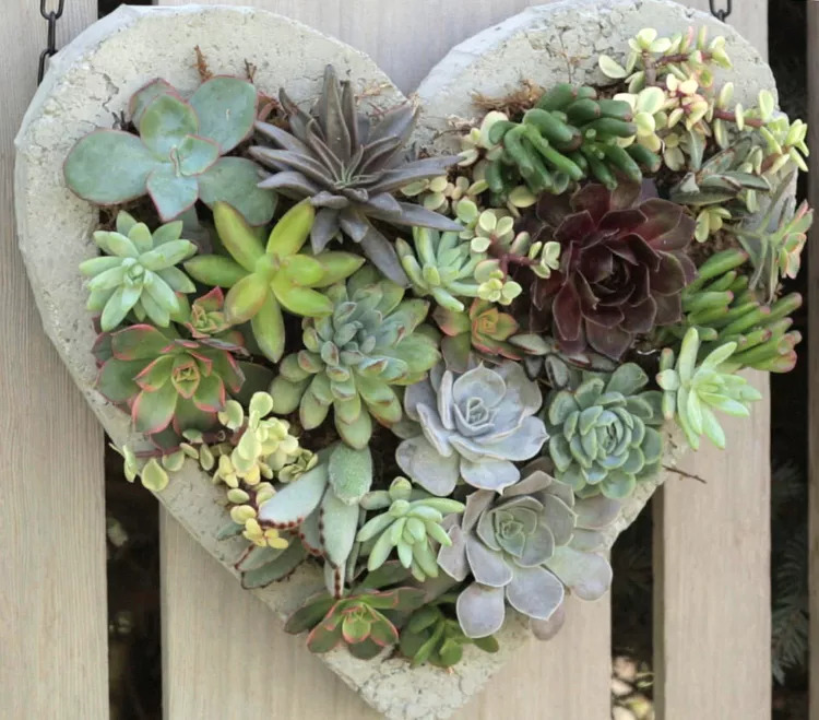 succulent-heart-planter