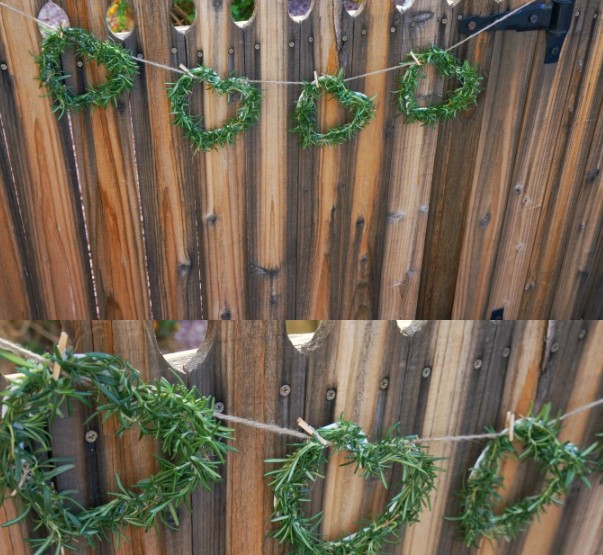 Rosemary heart garland