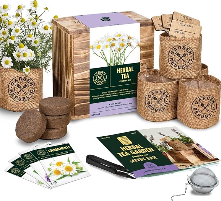 Herb Garden Seed Starter Kit