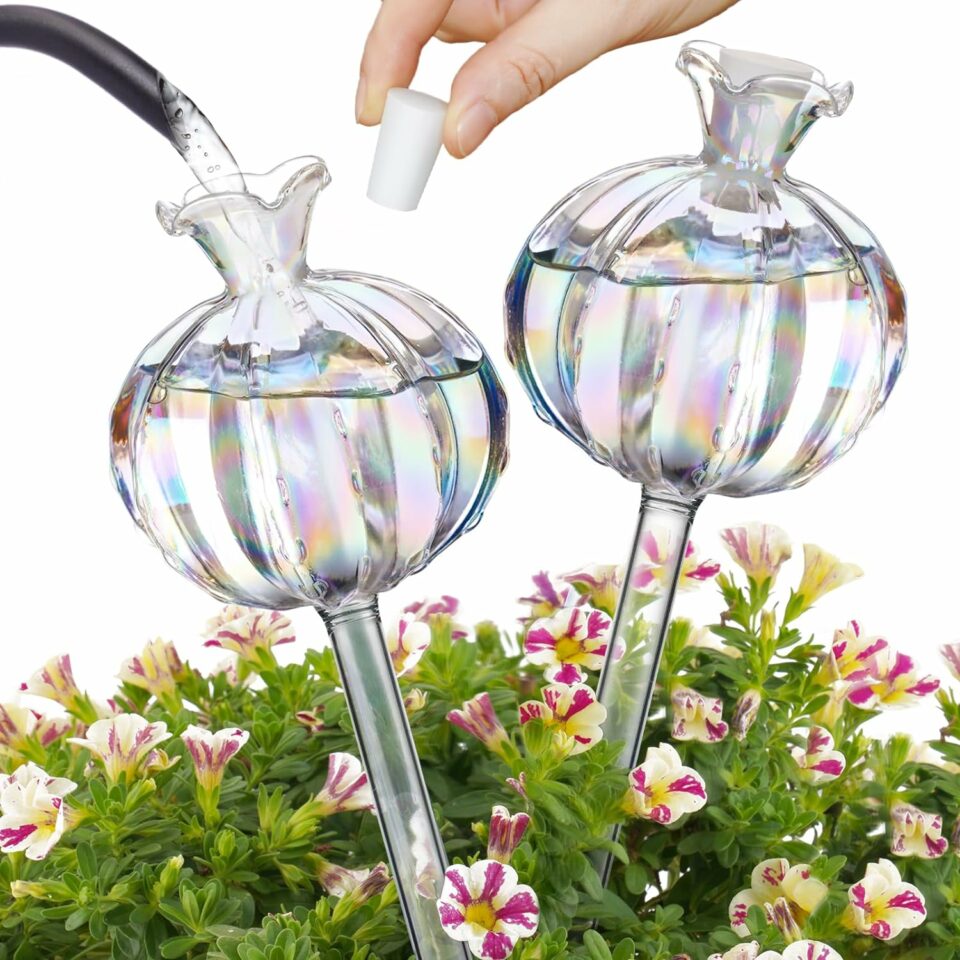 Plant Watering Globes