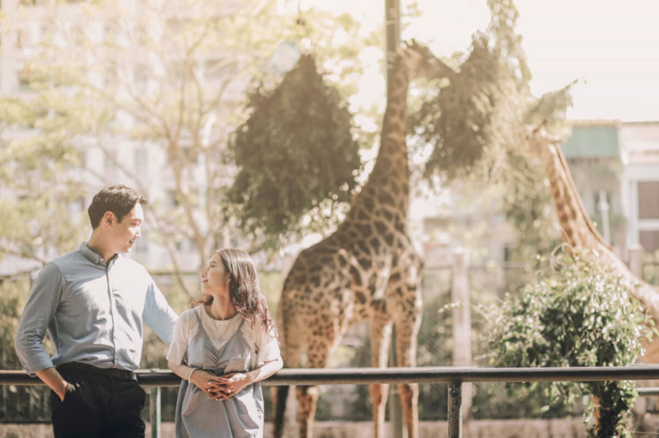 go to the zoo date ideas