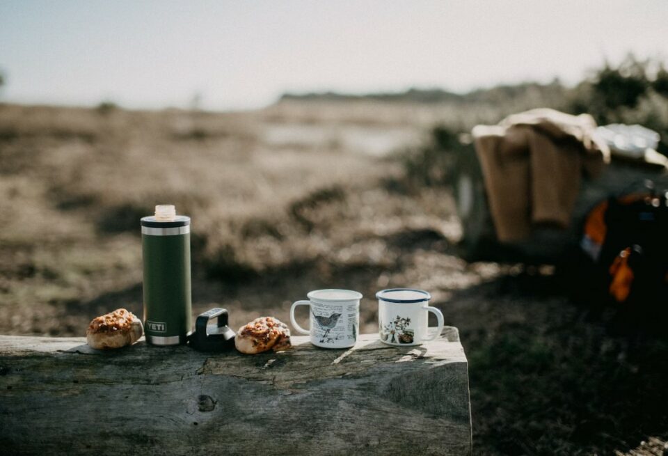 Winter Picnic