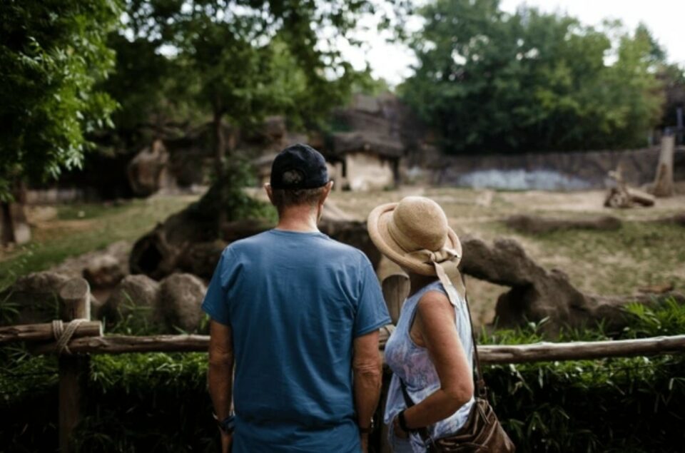 daytime date ideas - visit the zoo