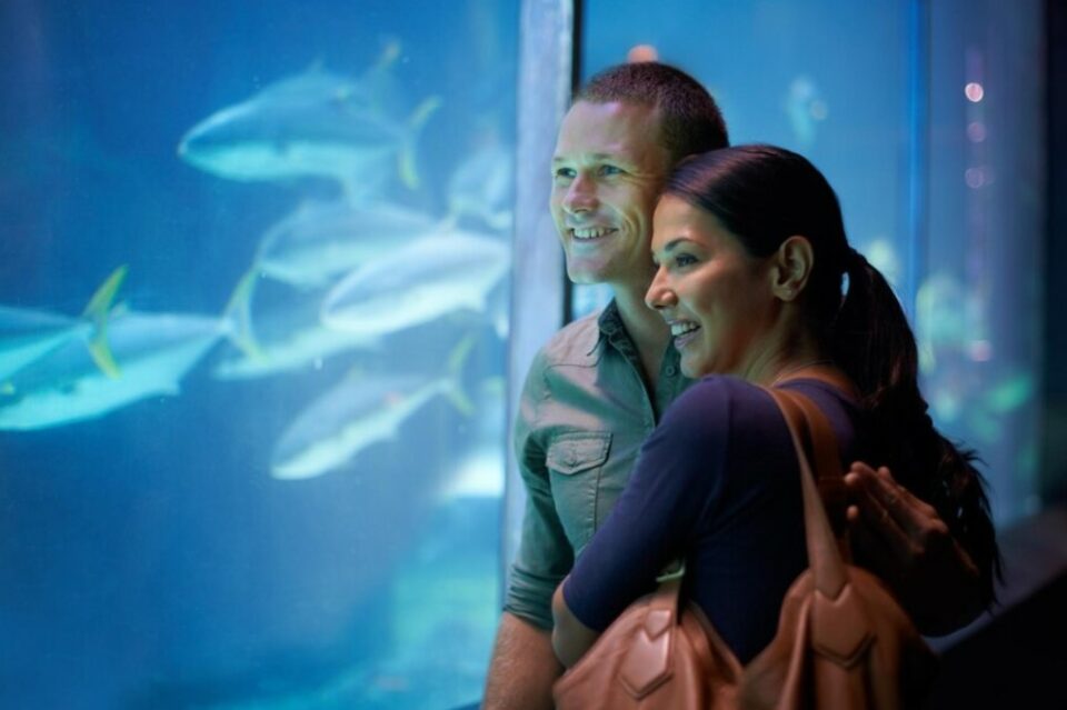 daytime date ideas - visit an aquarium