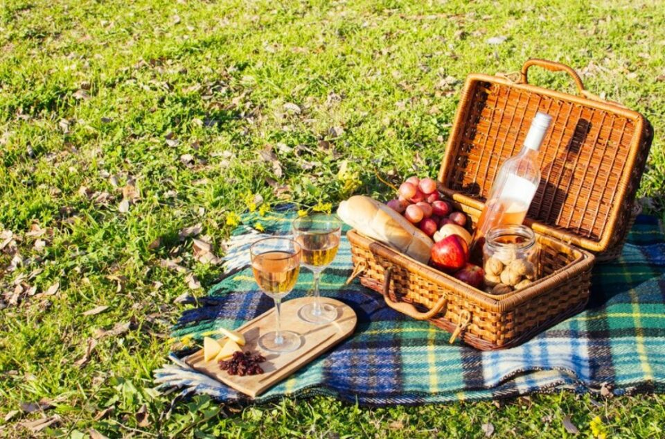 daytime date ideas - casual picnic
