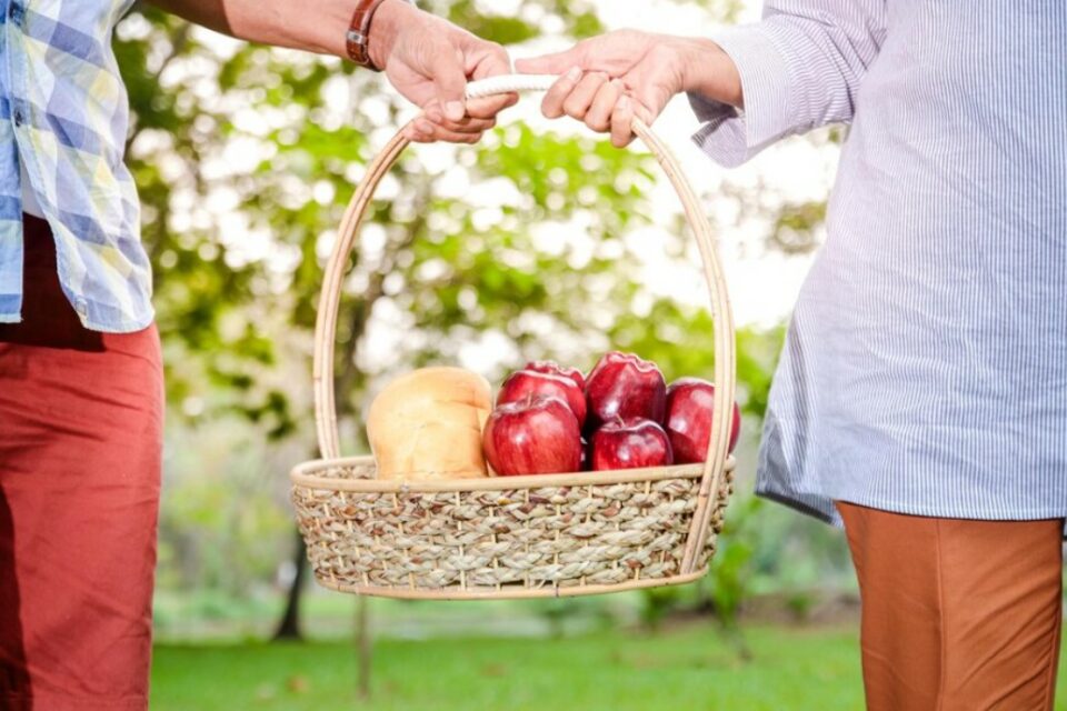 daytime date ideas - apple picking