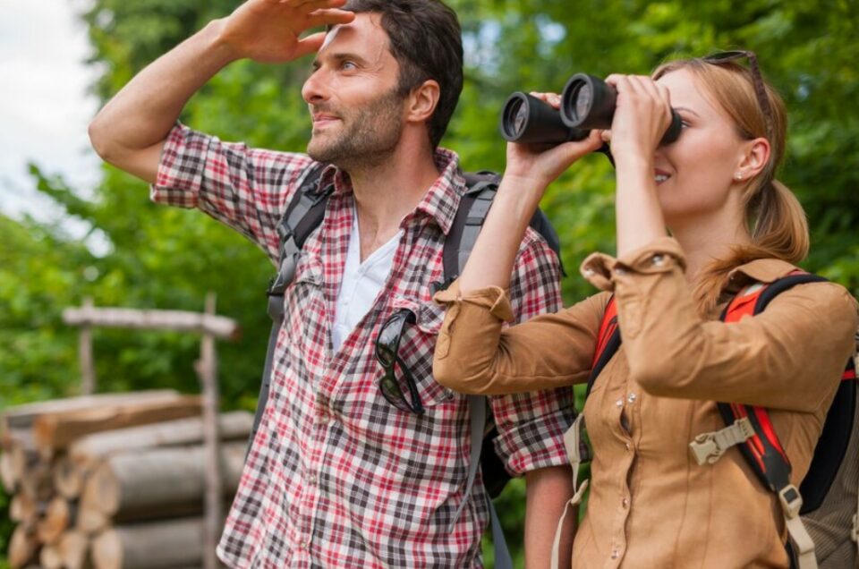 daytime date ideas - bird-watching expedition