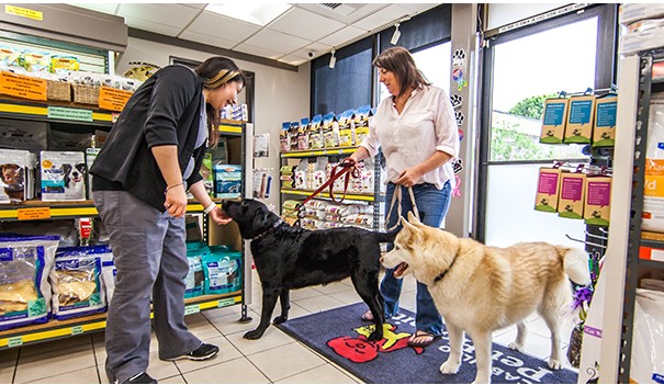 Pet Store