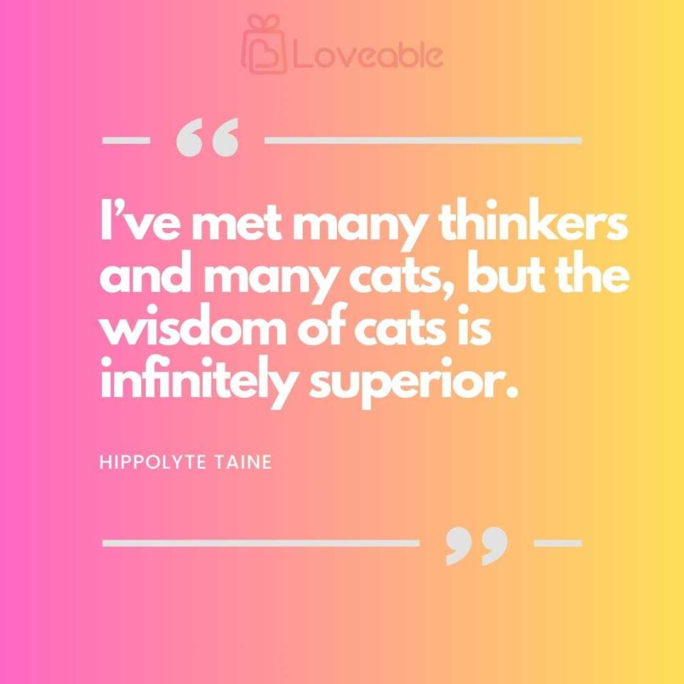 wisdom of cats is infinitely superior