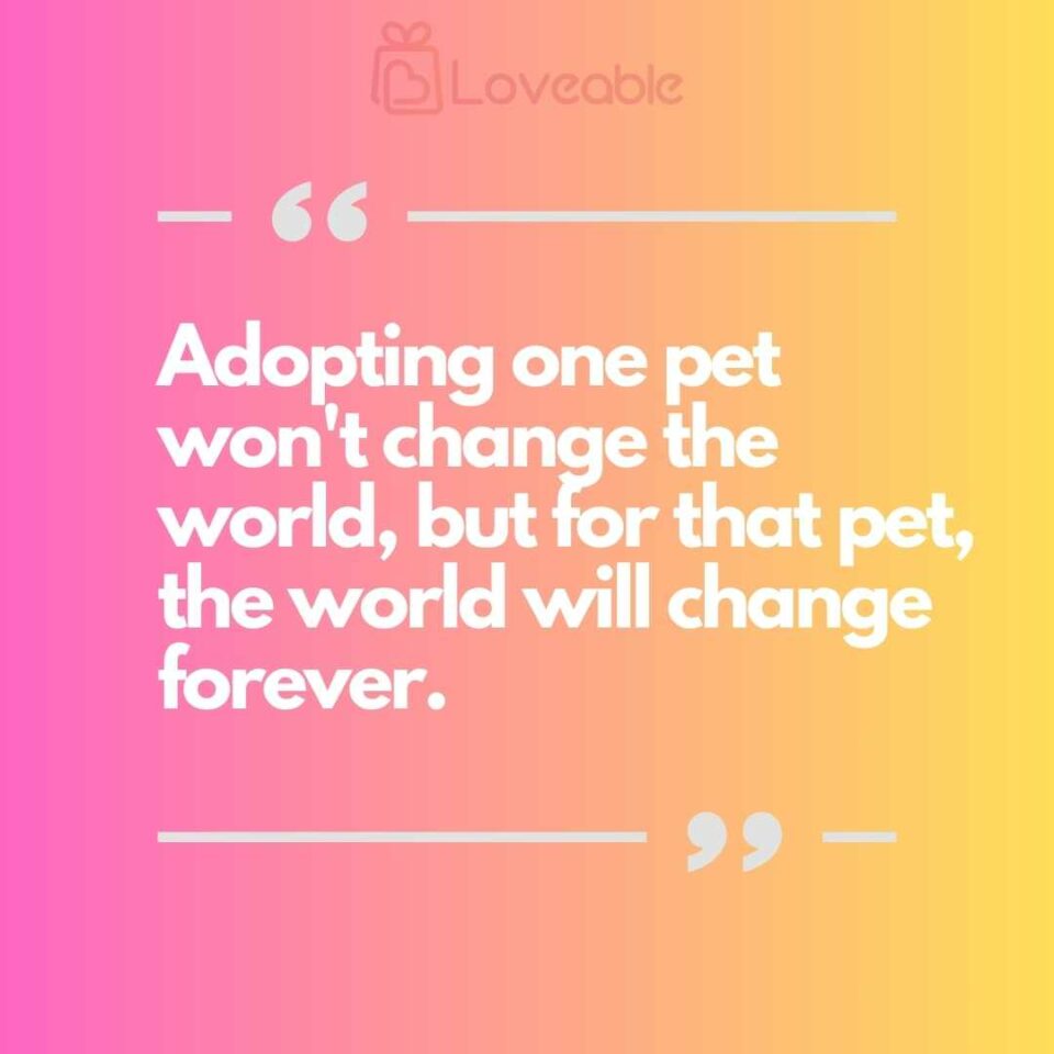 Adopting one pet won't change the world