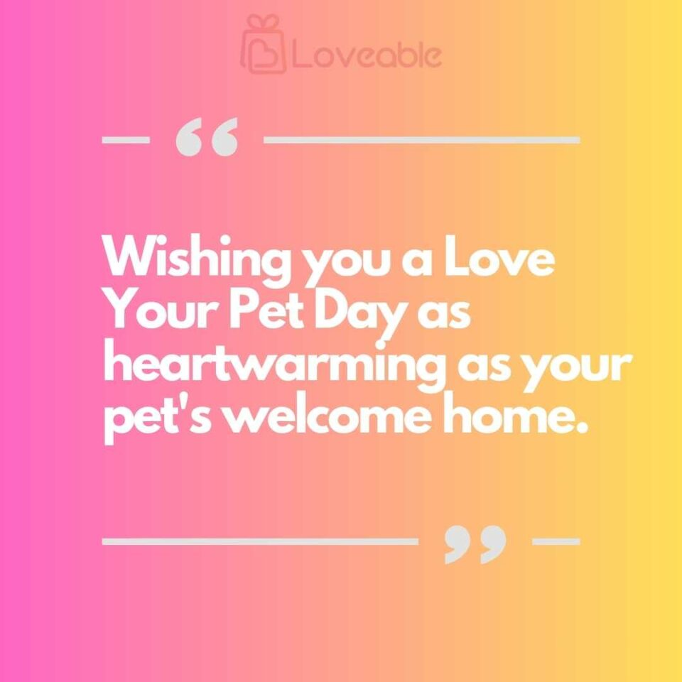 Wishing you a Love Your Pet Day as heartwarming as your pet welcome home.