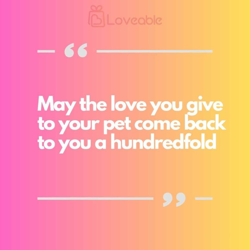 the love you give to your pet