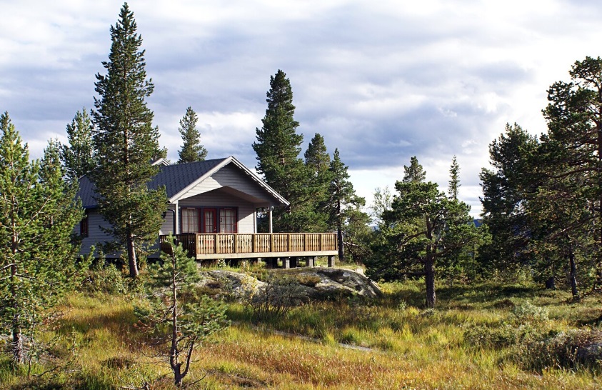 Rent A Cabin in The Mountains