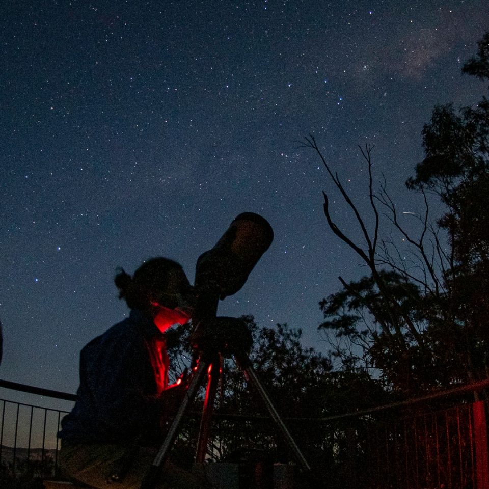 stargaze in a botanical garden