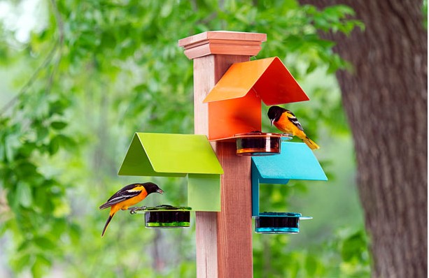 Get Creative And Decorate Bird Feeders