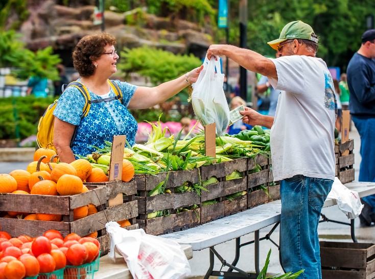 Farmer Market 