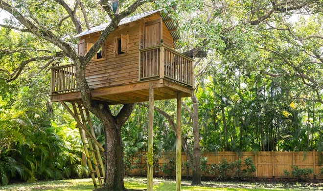 Create a Tree Fort