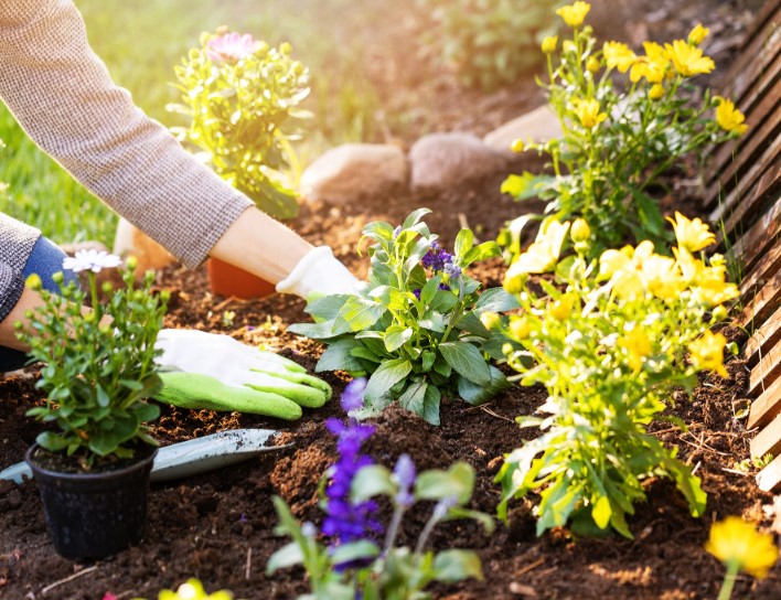 Gardening and Planting