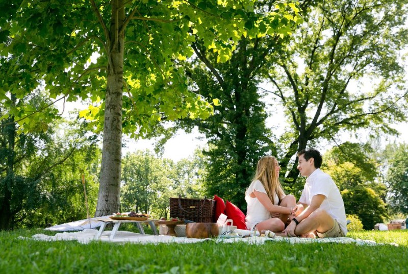 Plan a romantic picnic