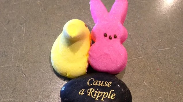 Peeps Fight 