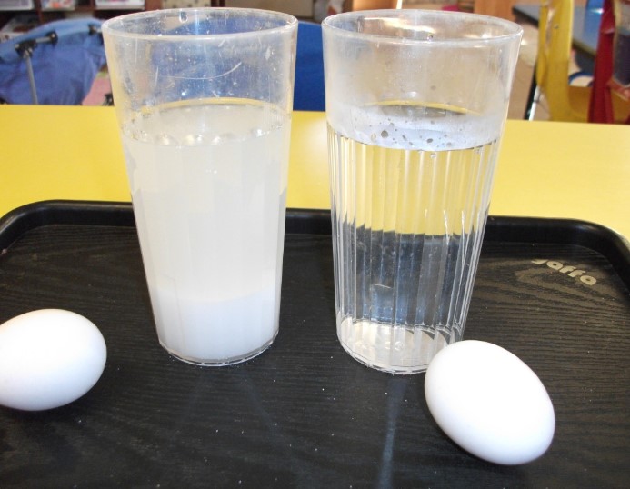 Doing Egg Experiment 