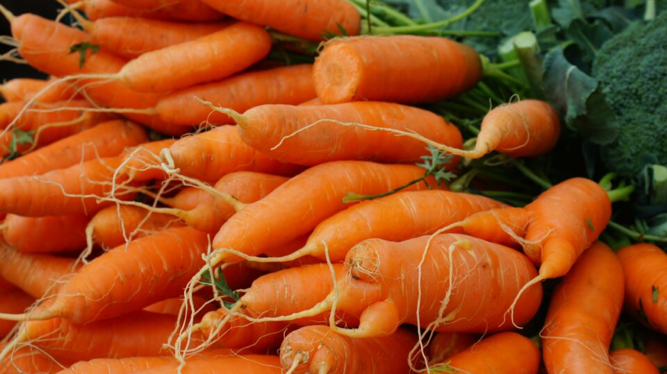 carrot challenge easter games for adults