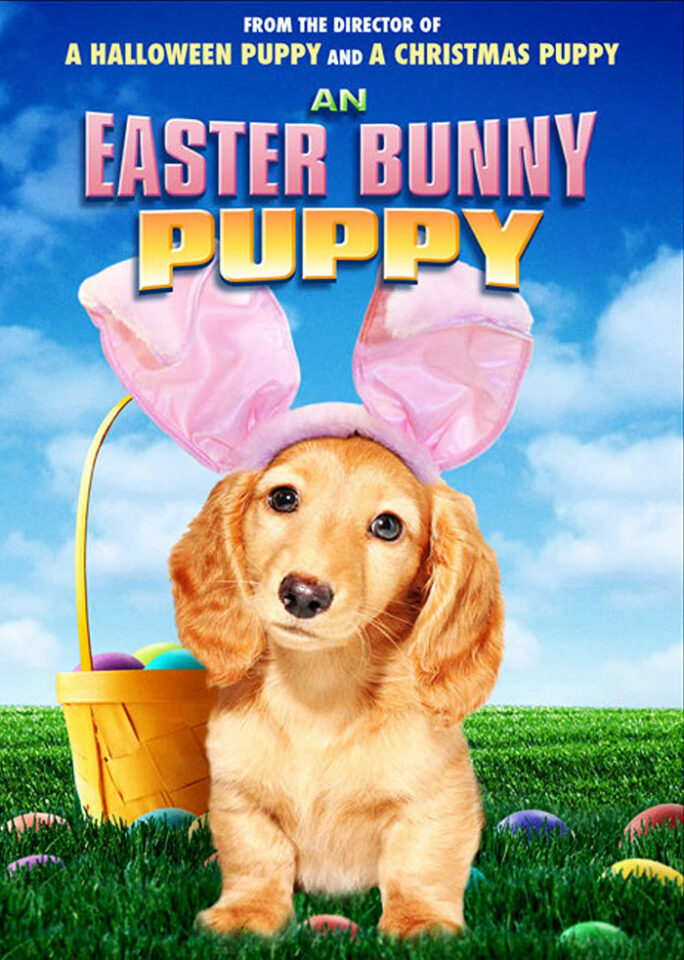 An Easter Bunny Puppy
