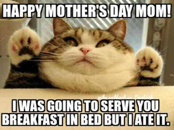 Funny Happy Mothers Day Memes