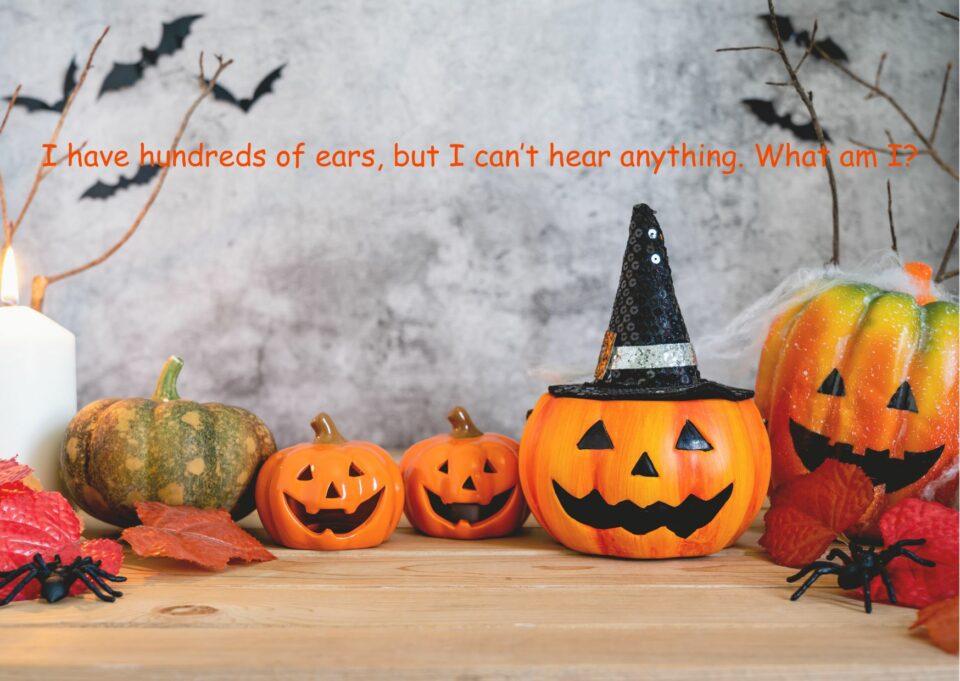 Top 30 Halloween Riddles and Jokes To Celebrate Spooky Season