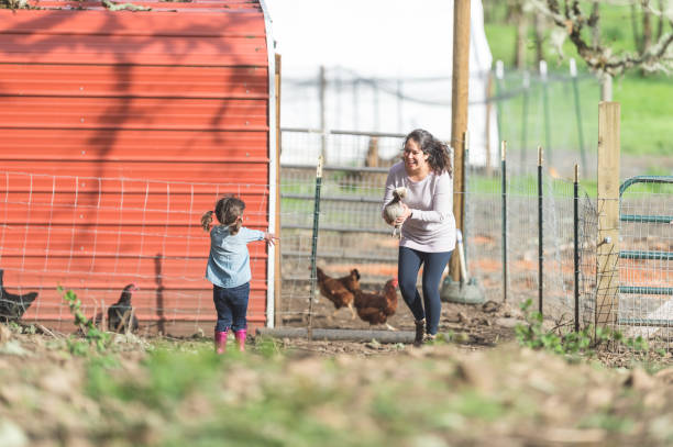 4 Main Principles of Free-Range Parenting