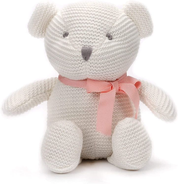 Teddy Bear Stuffed Animal