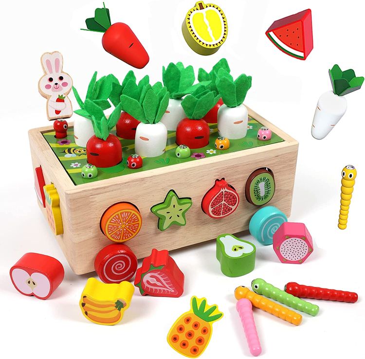Montessori Toys