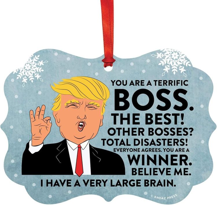 President Donald Trump Fancy Ornament