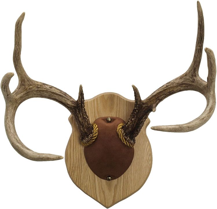 Country Antler Mount