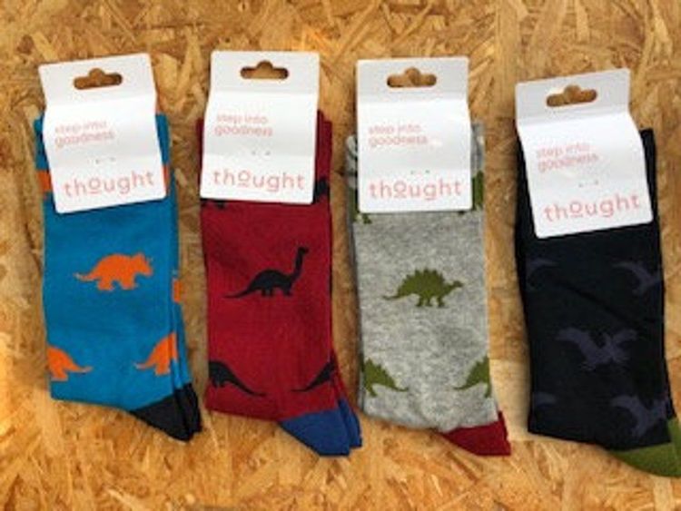Dinosaur Cotton Socks