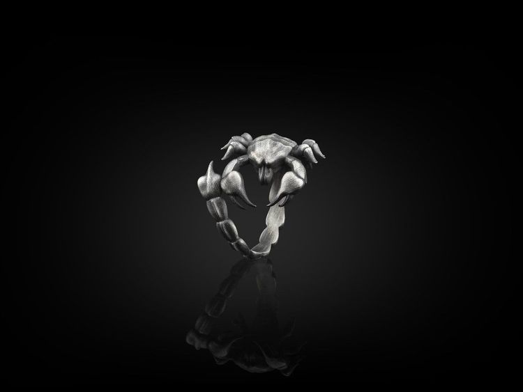 Scorpio Zodiac Sign Ring