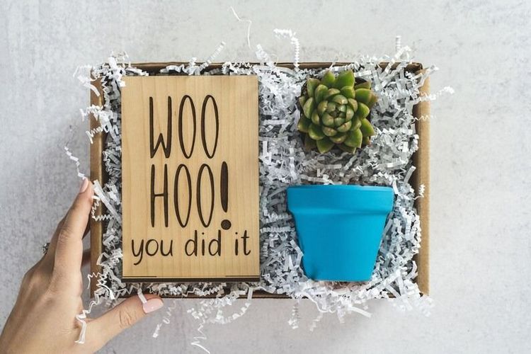 You Did It Succulent Gift Box