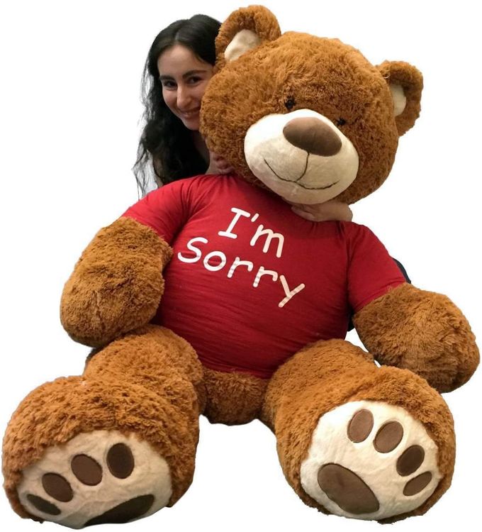 Im Sorry Teddy Bear, Im Sorry Gift, I'm Sorry Gift for Him, Her, Boyfriend,  Women, GF Teddy Bear, Beary Sorry Gifts to Say Sorry to A Friend - Etsy