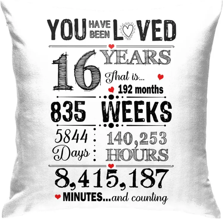 Boy Throw Pillow Covers