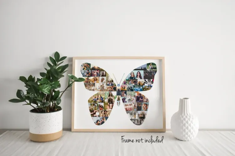 Butterfly Photo Collage
