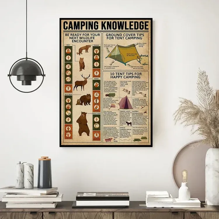 Camping Survival Knowledge Poster
