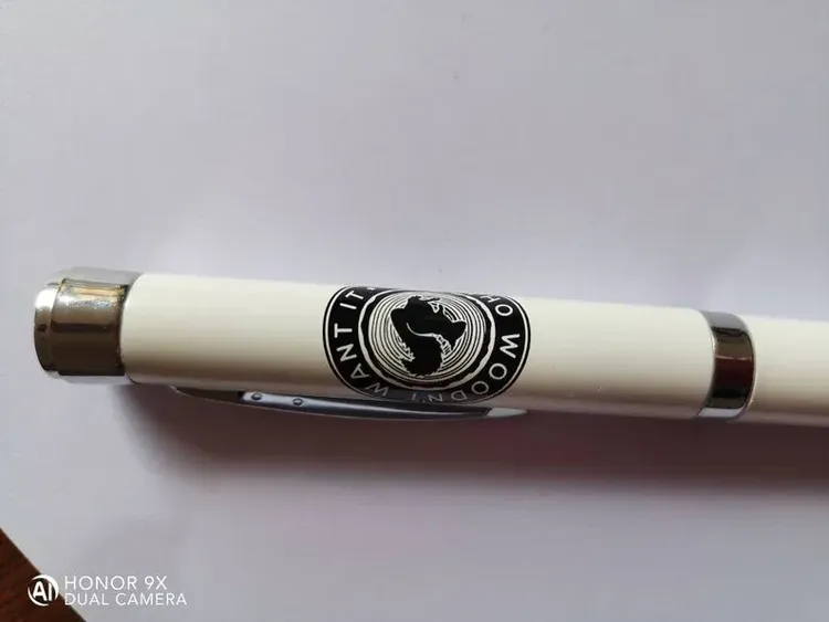 Cartoon projector pen